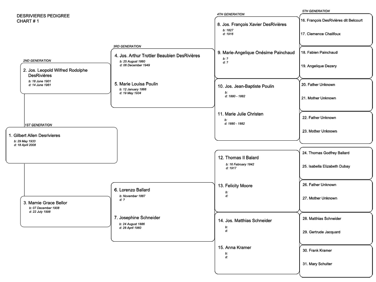 PEDIGREE CHARTS | Relatively speaking