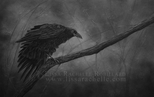pencil_drawing_bird_raven_crow_black_nights_breath