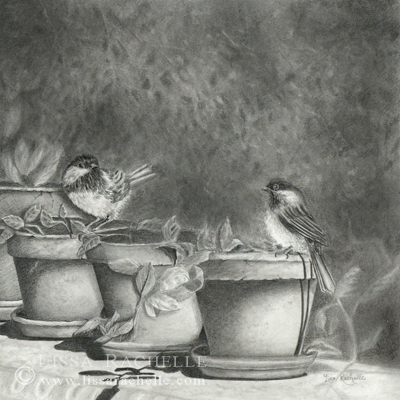 pencil_drawing_chickadees_garden_visitors