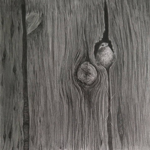 pencil_drawing_sparrow_peekaboo